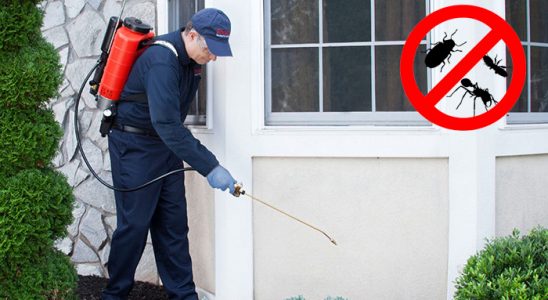 Ardahan Kemirgen İlaçlama böcek ilaçlama ve haşere kontrolü — ilaclama-tr.com